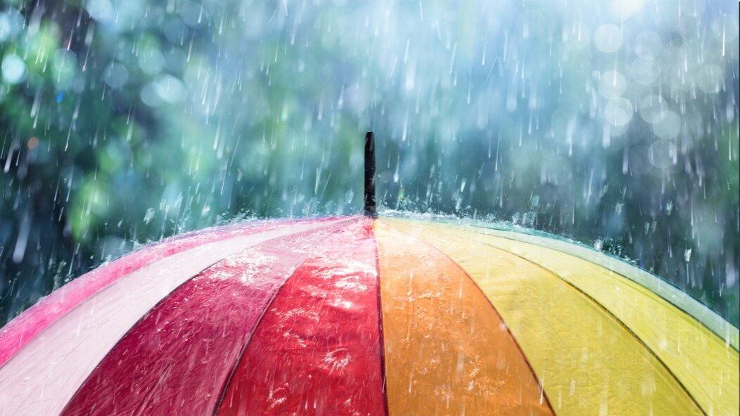 Rain falling on an multi-colored umbrella. 