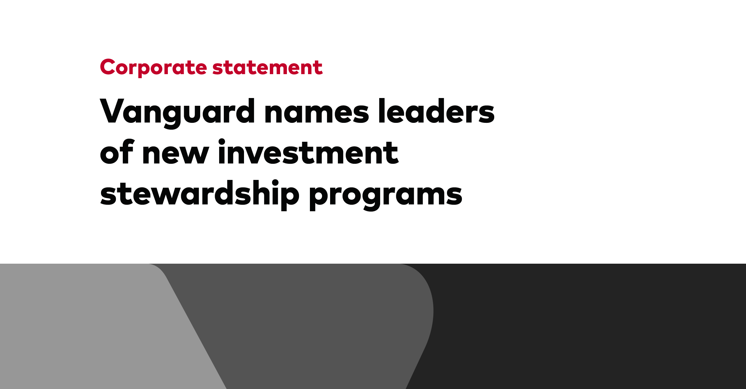 Vanguard names leaders of new investment stewardship programs