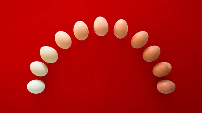 Eggs ranging from white to brown arranged in an arc against a red background.